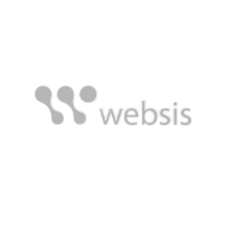 websis cinza.